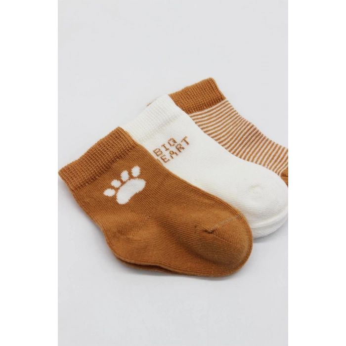 Bistyle 3Lü Penye Soket Çorap BS10110 Hardal