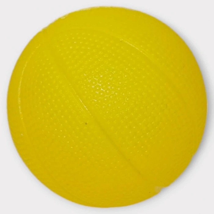 Köpek Oyuncağı - Plastik Sesli Top - AGT001