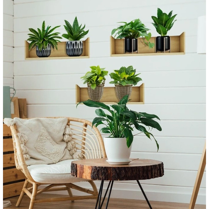 Raflı Bitki Tasarımlı Yapışkanlı Sticker 20*30 cm 3lü Set (5250)