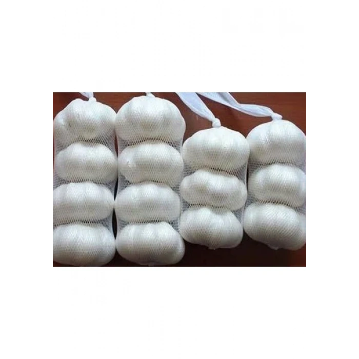 SARIMSAK FİLESİ (1 KG TAŞIMA KAPASİTESİ)