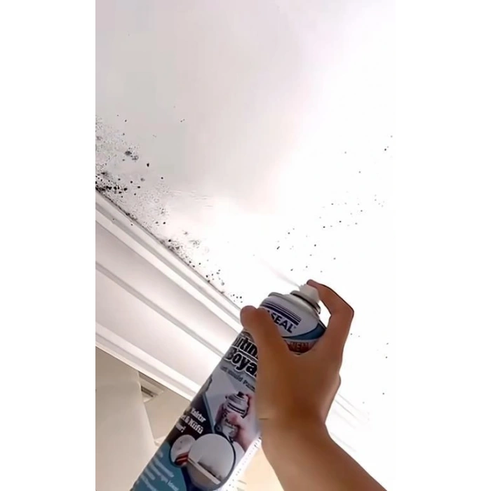 Vodaseal Anti Küf Yalıtım Boyası Sprey 500 ml