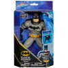 Batman Yüzme Arkadaşları - 6067008