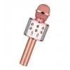 Bluetooth Karaoke Mikrofon (5250)