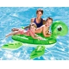 Kaplumbağa Binici 140 x 140 Cm Bestway - 41041