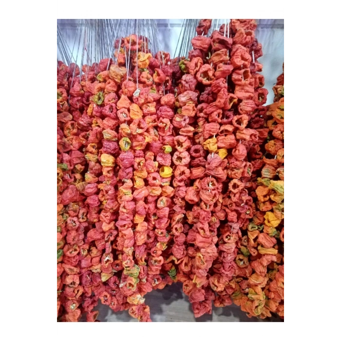 KURUTMALIK YENİ MAHSUL DOLMALIK ACI 1 DİZİ BİBER (50) ADET