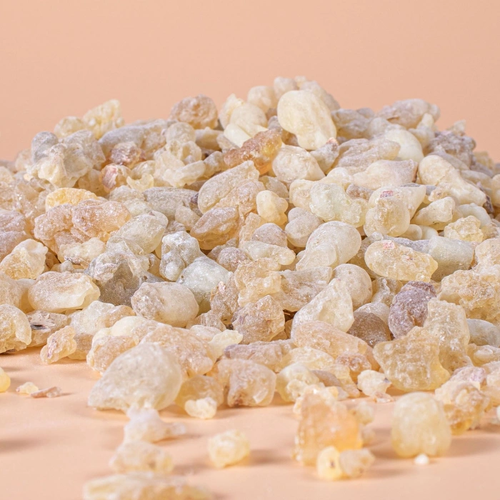 AK GÜNLÜK SAKIZI 60 GR