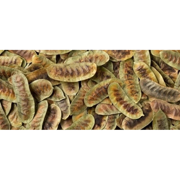 FATOŞ YÖRESEL AÇLIK OTU (DEVE GÖZÜ) 100 GR