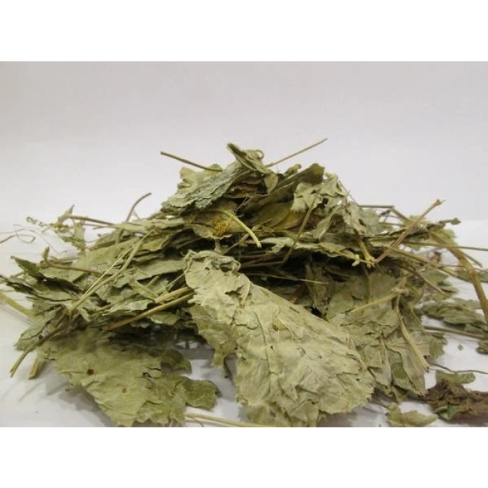 Aslan Pencesi (Testere Dişli) 250 gr