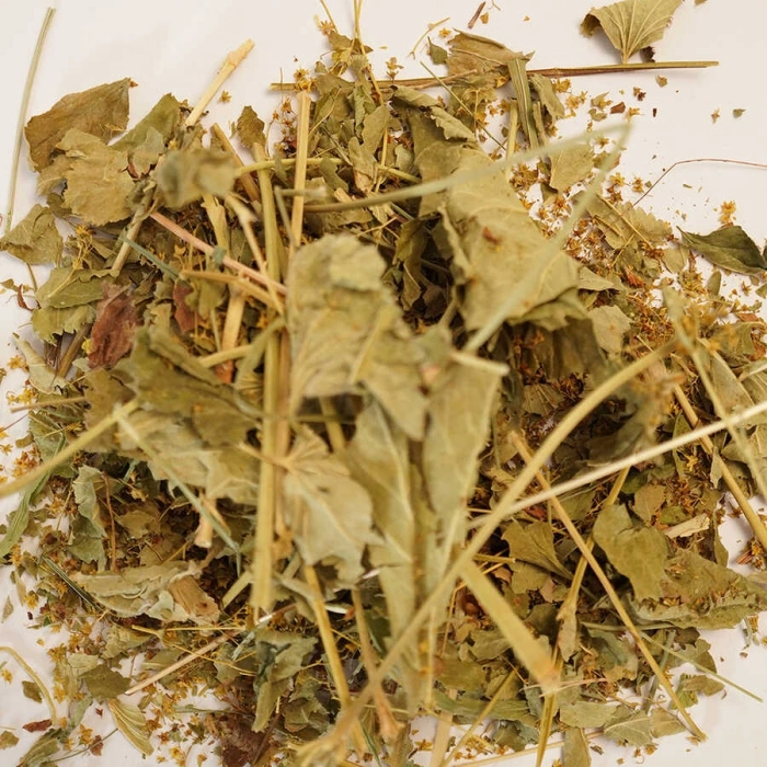 Aslan Pencesi (Testere Dişli) 250 gr