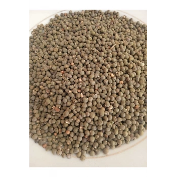 Bamya Tohumu Yerli 500 gr (ilaçsız- Yenilebilir) 1. Kalite elenmiş Yeni Mahsül