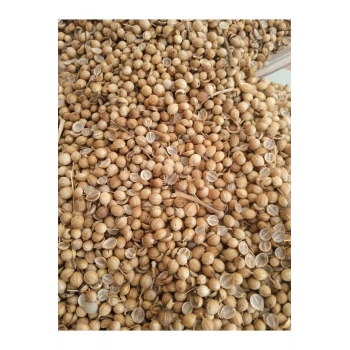 Kişniş Tohumu 100 gr