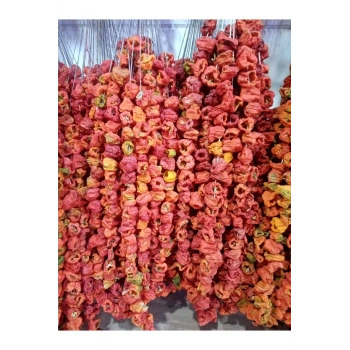 KURUTMALIK YENİ MAHSUL DOLMALIK ACI 1 DİZİ BİBER (50) ADET