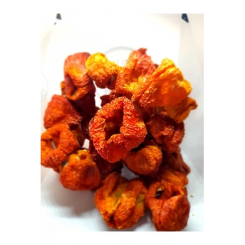 KURUTMALIK YENİ MAHSUL ACI BİBER DOLMALIK 3 DİZİ 150 ADET