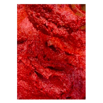 GAZİANTEP EV YAPIMI TATLI BİBER SALÇASI 250  gr