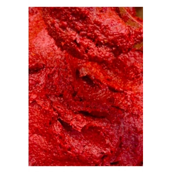 GAZİANTEP EV YAPIMI TATLI BİBER SALÇASI 750 GR