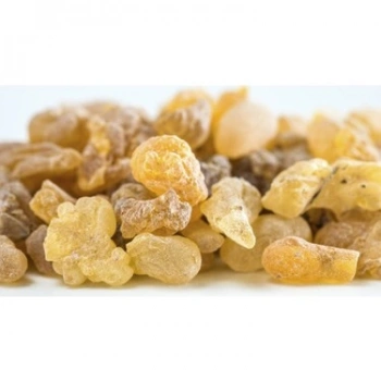 AK GÜNLÜK SAKIZI 60 GR