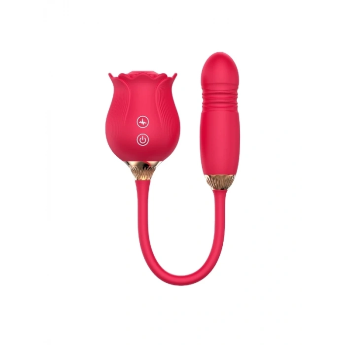 Eskişehir Erotik Shop ileri geri hareketli Vibratör ve Gül vakum