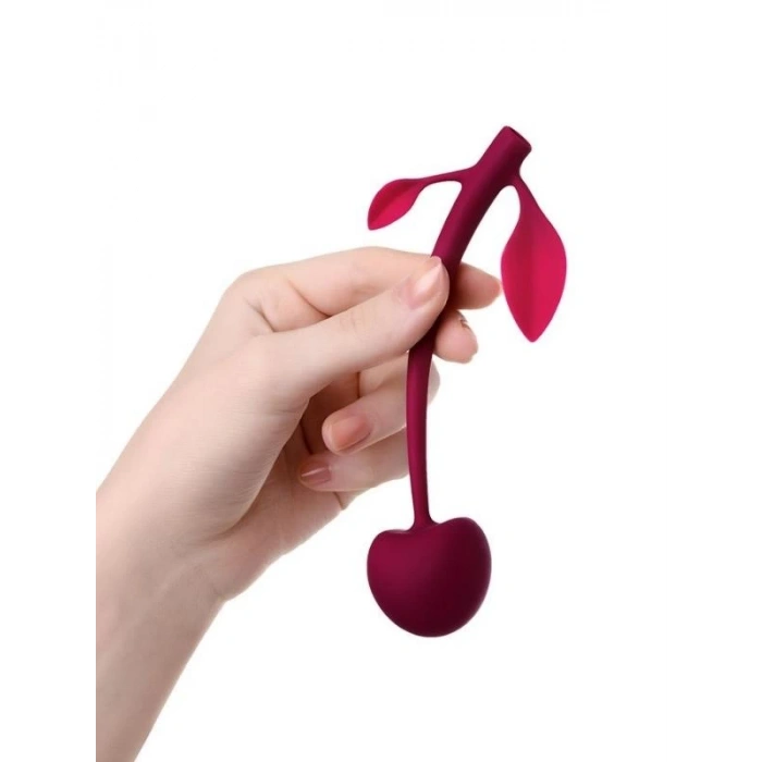 Eskişehir Shop Jos Kiraz Vajinal Top silikon bordo 14,5 cm