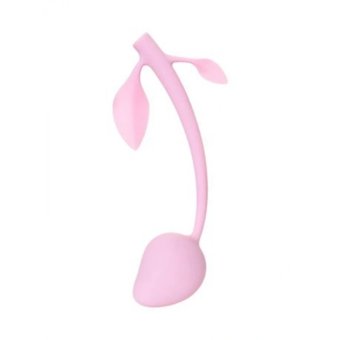 Eskişehir Shop Vişne Vajinal Top Pembe