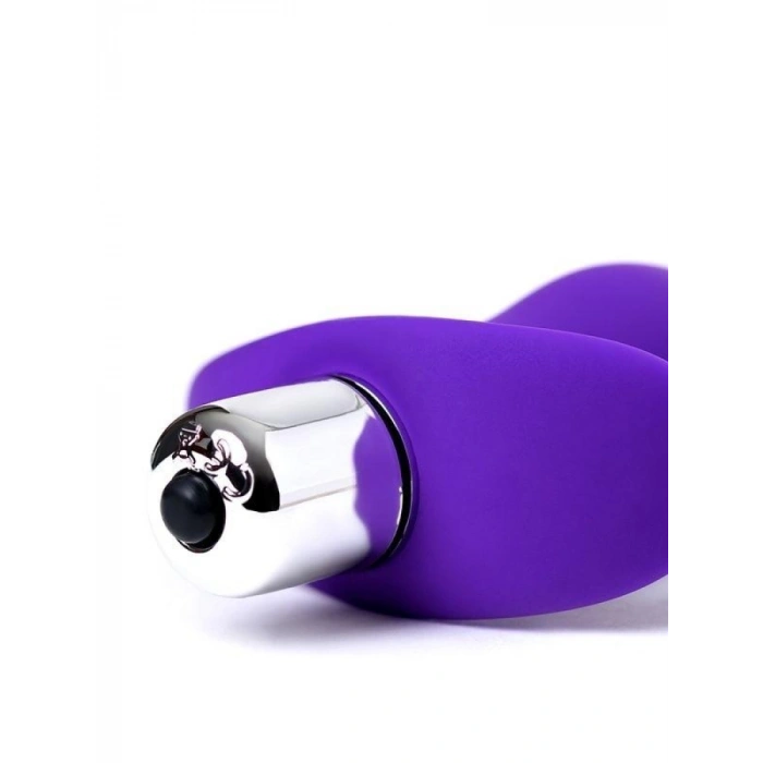 Kamet L Beden Ergonomik Mor Titreşimli Plug 14cm