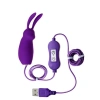 CENSAN Bunny Mini Vibratör Mor