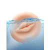 Penis Pompası Vajina Başlık Evrense