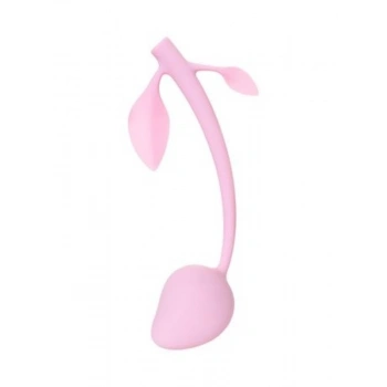 Eskişehir Shop Vişne Vajinal Top Pembe