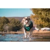 M-Pets Bloom Ball Oyun Topu Parçalanmaz