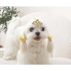 M-Pets Glam Köpekler İçin Aksesuar Toka Kırmızı Yellow
