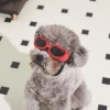 M-Pets Sunny Daytrip Köpek Gözlüğü Kırmızı