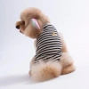 Pawstar Sunrise EmbroLine Tişört