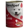 Bestpet Jöle İçinde Parça Kuzu Etli Konserve Yavru Köpek Maması 400 gr