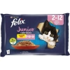 Felix Junior Pouch Tavuklu ve Sığır Etli Kedi Konservesi (4 X 85 gr)