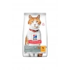 Hills SCIENCE PLAN Kısırlaştırılmış Yetişkin Tavuklu Kedi Maması 8 + 2 kg