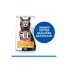 Hills SCIENCE PLAN Üriner Sağlık +1 Yetişkin Tavuklu Kedi Maması 1,5 kg