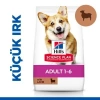Hills SCIENCE PLAN Yetişkin Küçük ve Mini Irk Kuzulu ve Pirinçli Köpek Maması 6 kg