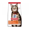 Hills SCIENCE PLAN Yetişkin Kuzulu Kedi Maması 3 kg