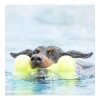 Kong Airdog Sesli Kemik Köpek Oyuncağı L