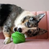 Kong Squeezz Orbitz Dönen Daire Şeklinde Köpek Oyuncağı S/M