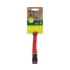 M-Pets Jolly Köpek Boyun Tasması Red (S)