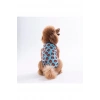 Pawstar Bears Tişört