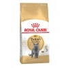 Royal Canin British Shorthair 2 kg Yetişkin Kedi Maması