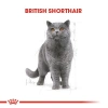 Royal Canin British Shorthair Pouch Yetişkin Kedi Konservesi 85 gr