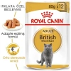 Royal Canin British Shorthair Pouch Yetişkin Kedi Konservesi 85 gr