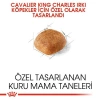Royal Canin Cavalier King Charles Yetişkin Köpek Maması 3 kg