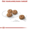 Royal Canin Mini Sterilised Küçük Irk Kısırlaştırılmış Köpek Maması 3 Kg