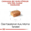 Royal Canin Chihuahua Yavru Köpek Maması 1,5 kg