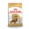 Royal Canin Cocker Özel Irk Yetişkin Köpek Maması 3 kg