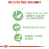 Royal Canin Digest Sensitive Pouch Hassas Kediler İçin Kedi Konservesi 85 gr