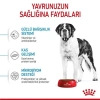 Royal Canin Giant Dev Irk Yavru Köpek Maması 15 kg